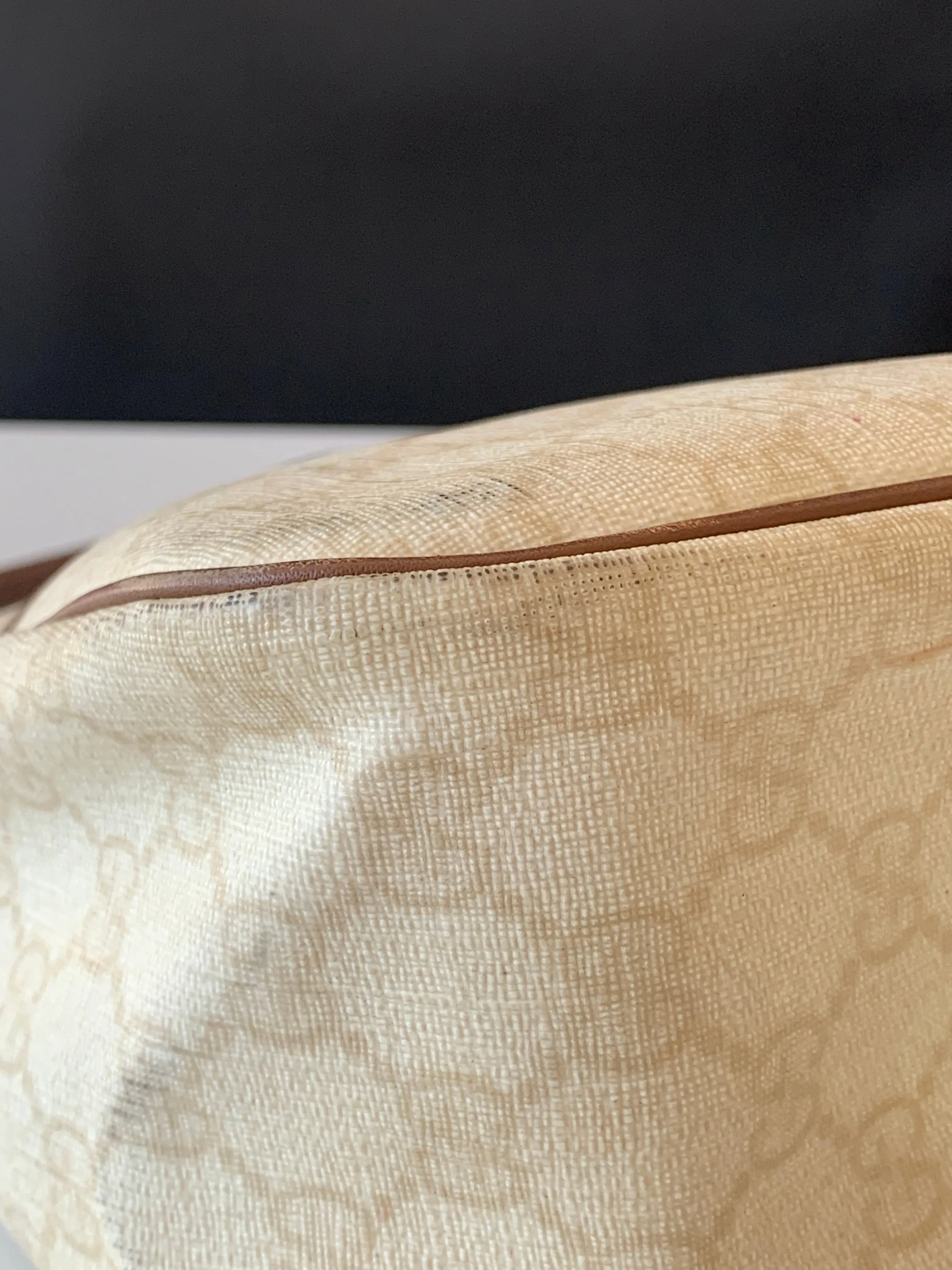 <b>GUCCI </b> <br>GG Plus Joy Hobo