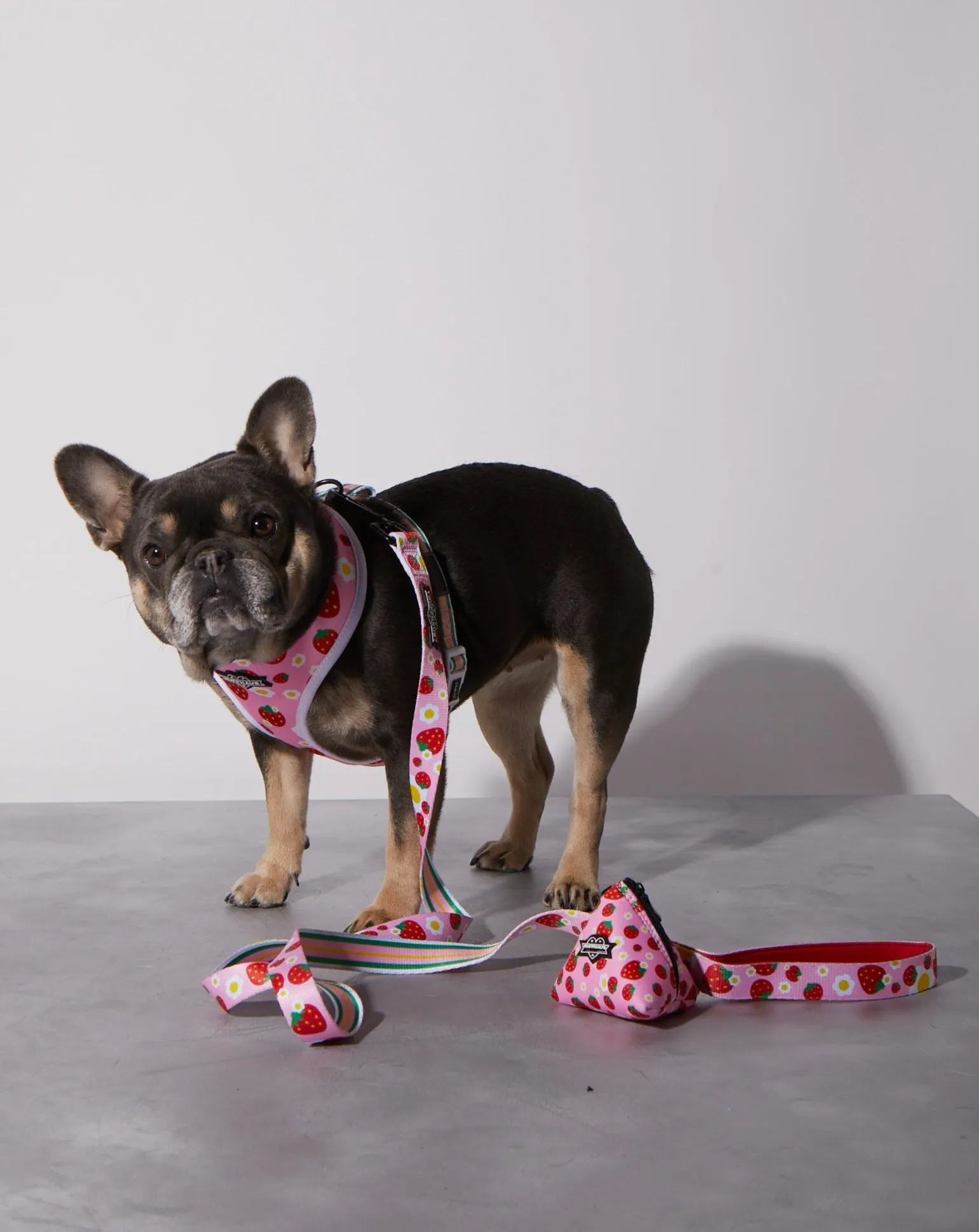 Strawberry Dog Leash